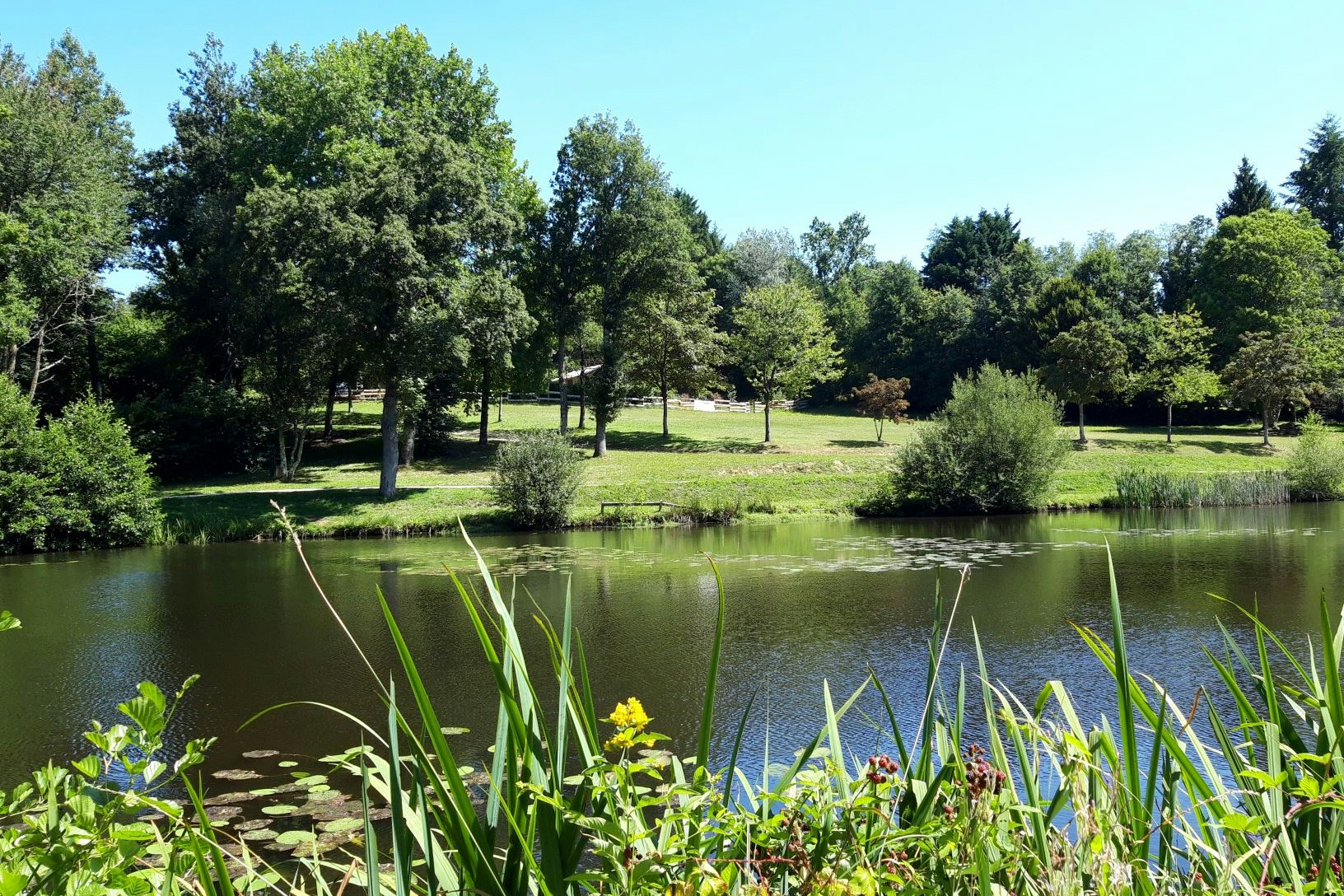 Camping le Petit Bois - Blick auf den See am Campingplatz