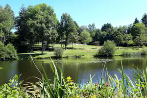 Ruhiger Campingplatz am See mit grünem Ufer, Schilf und Bäumen, dahinter eine gepflegte Wiese unter klarem Himmel.