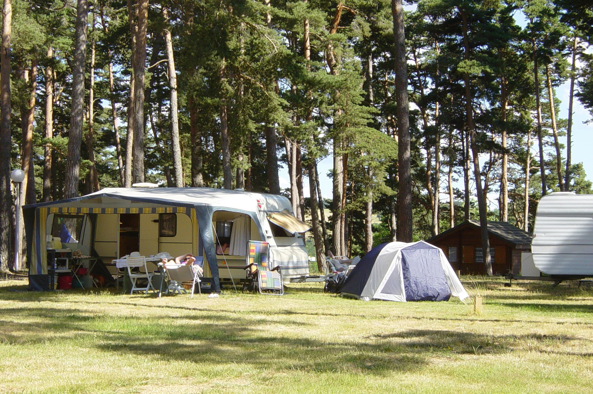 Campingplatz im Wald: Wohnwagen mit Vorzelt, daneben Zelt und Sitzgruppe auf dem Rasen zwischen hohen Bäumen.
