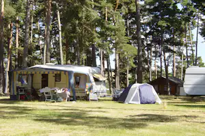 Campingplatz im Wald: Wohnwagen mit Vorzelt, daneben Zelt und Sitzgruppe auf dem Rasen zwischen hohen Bäumen.