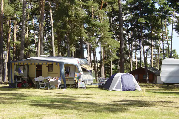 Camping Le Petit Bois (Ruynes-en-Margeride)
