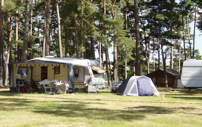 Camping Le Petit Bois (Ruynes-en-Margeride)