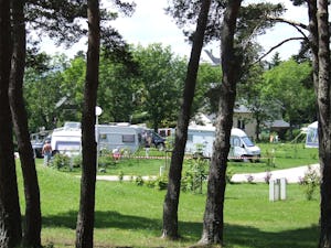 Camping Le Petit Bois