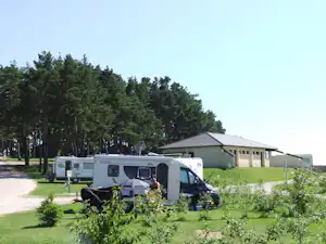 Wohnwagen und Campingfahrzeuge auf einem Stellplatz neben einem Gebäude, umgeben von Rasen und Bäumen.