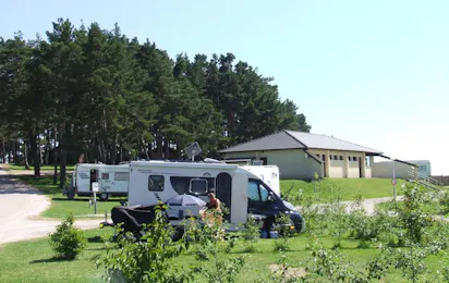 Camping Le Petit Bois (Ruynes-en-Margeride)