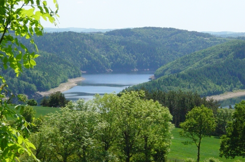 Blick ins Tal auf einen Stausee zwischen bewaldeten Hügeln, im Vordergrund grünes Laub.