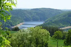 Blick ins Tal auf einen Stausee zwischen bewaldeten Hügeln, im Vordergrund grünes Laub.