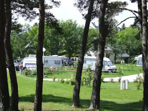 Wohnmobile und ein Auto stehen auf einem Campingplatz zwischen hohen Bäumen, mit gepflegten Wegen und Rasenflächen.