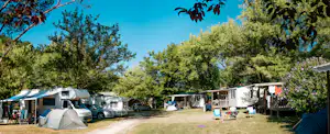 Camping Le Petit Pyrénéen - Campingplatz umgeben von Bäumen und schattig