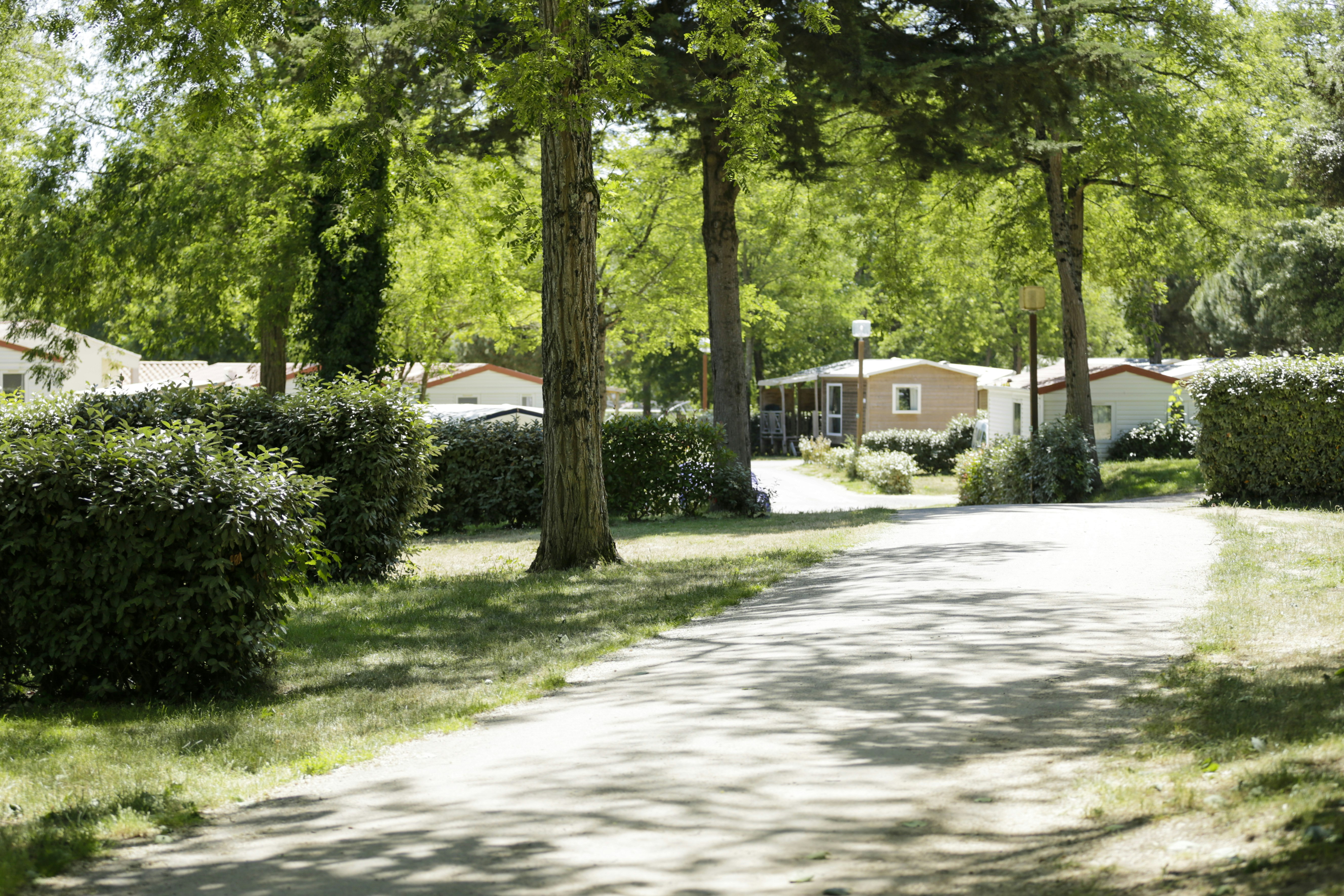 Camping Le Petit Rocher - Wege und Mobilheime 