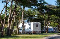 Camping Le Phare