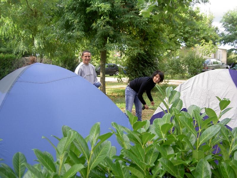 Zelte auf einem Campingplatz im Grünen, im Hintergrund zwei Personen und geparkte Autos neben Bäumen.