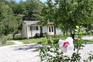 Mobilheim im Grünen mit Terrasse, Gartenmöbeln und großen Bäumen, im Vordergrund blühende Blumen.