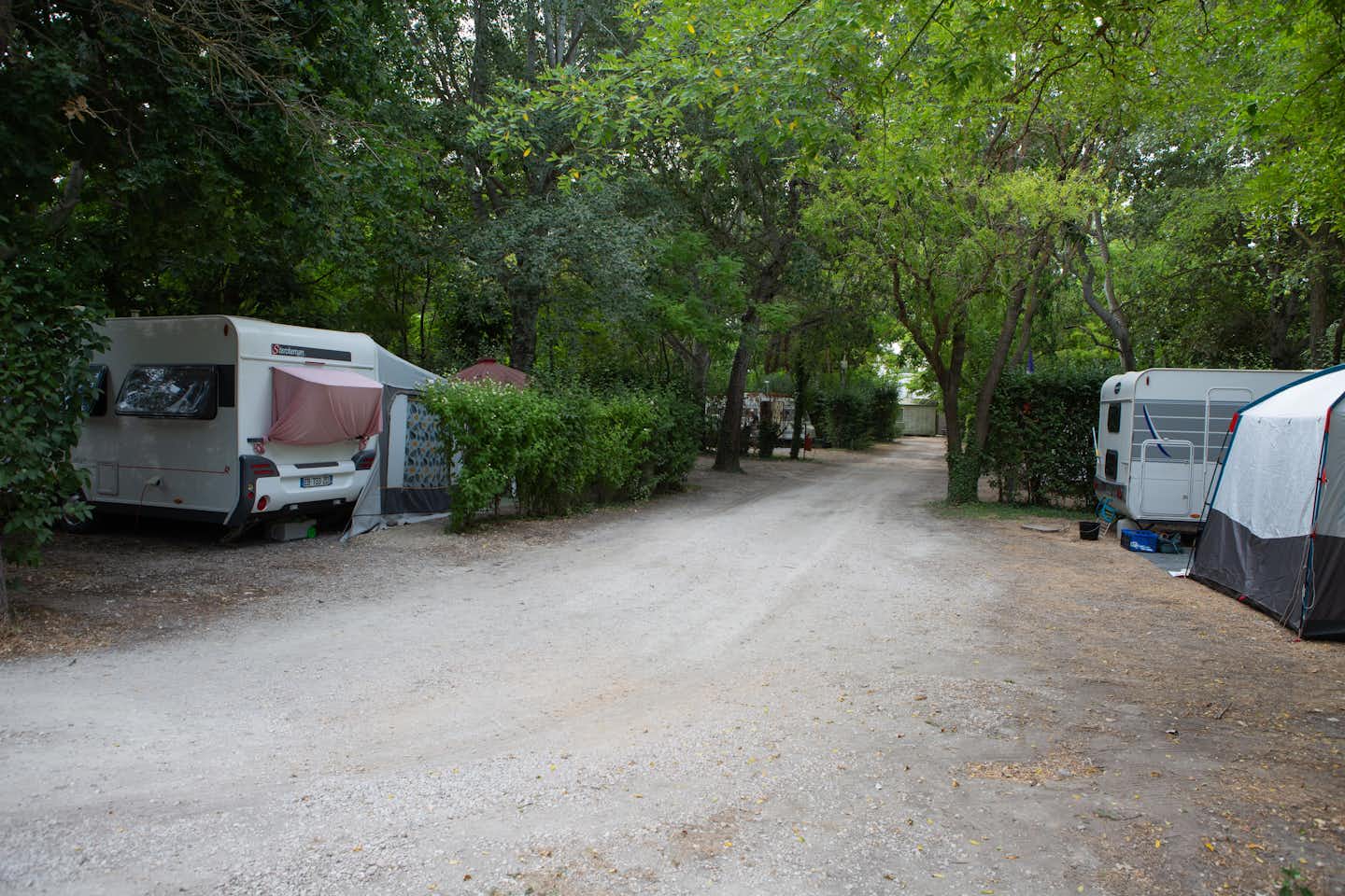 Camping Le Pilon d'Agel - Wohnmobil- und  Wohnwagenstellplätze im Schatten der Bäume