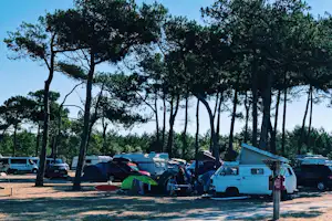 Campingplatz mit Wohnwagen und Zelt zwischen hohen Bäumen, daneben geparkte Autos und ein kleiner Tisch auf dem Stellplatz.