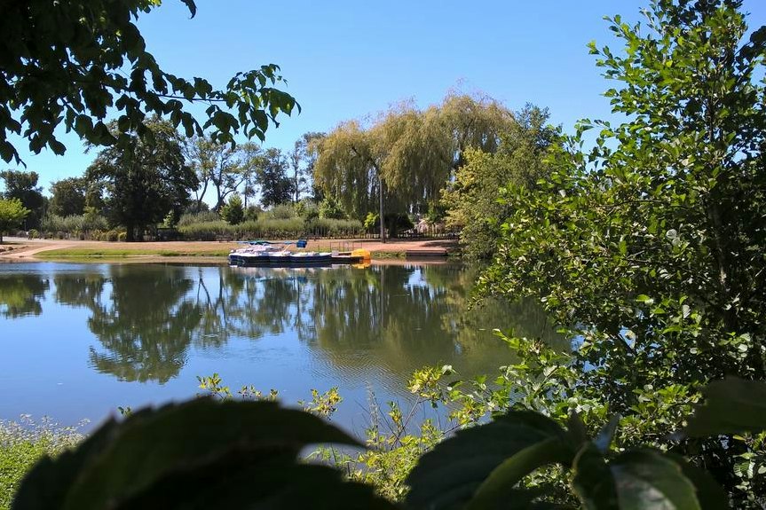 Ruhiger See mit Spiegelung, umgeben von Bäumen und Sträuchern, im Hintergrund ein Steg am Ufer.