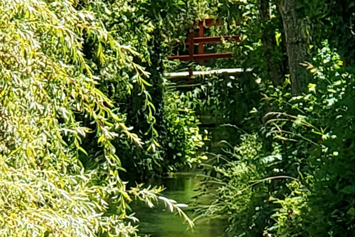 Grüner Flusslauf mit klarem Wasser, dichtem Ufergrün und Bäumen; im Hintergrund eine kleine Holzbank.