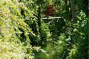 Grüner Flusslauf mit klarem Wasser, dichtem Ufergrün und Bäumen; im Hintergrund eine kleine Holzbank.