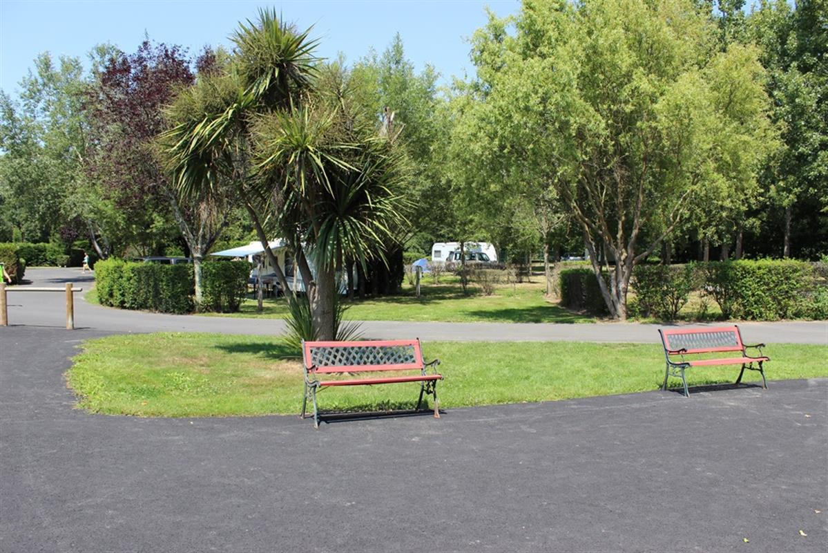 Roter Camping-Bankplatz auf Asphaltweg, daneben Rasen und Büsche, im Hintergrund Palmen und Bäume.