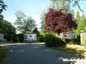 Asphaltierter Campingplatz mit zwei Mobilheimen, Hecken und Bäumen im Hintergrund, im Grünen zwischen Stellplätzen.