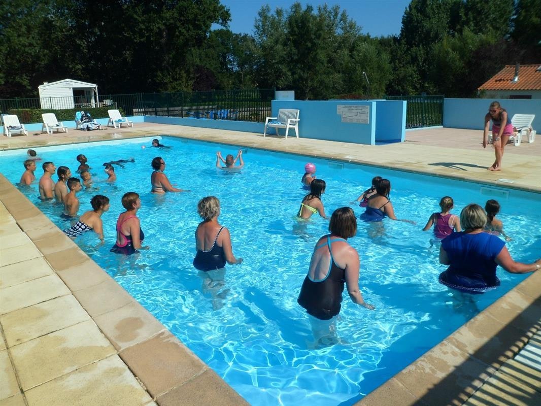 Schwimmbecken auf einem Campingplatz mit mehreren Gästen im Wasser, Liegen am Rand und Bäumen im Hintergrund.