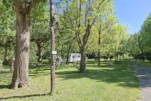 Campingplatz mit Baumreihe, Rasen und Wohnwagen-Stellplätzen; Stromsäulen am Wegesrand und ein Wohnmobil im Hintergrund.