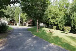 Campingplatz-Weg zwischen Bäumen, Rasenfläche und zwei Liegestühle, im Hintergrund kleine Unterkünfte mit Holzveranda.
