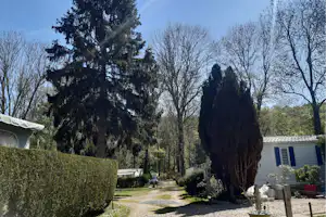 Campinganlage mit Kiesweg, Hecken und hohen Bäumen; links ein Zelt, rechts ein Wohnwagen mit blauen Fensterläden.