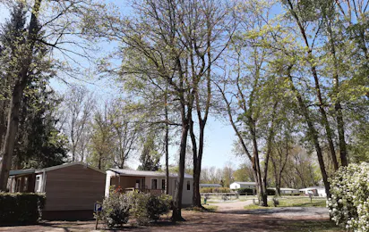 Camping Le Pré des Moines