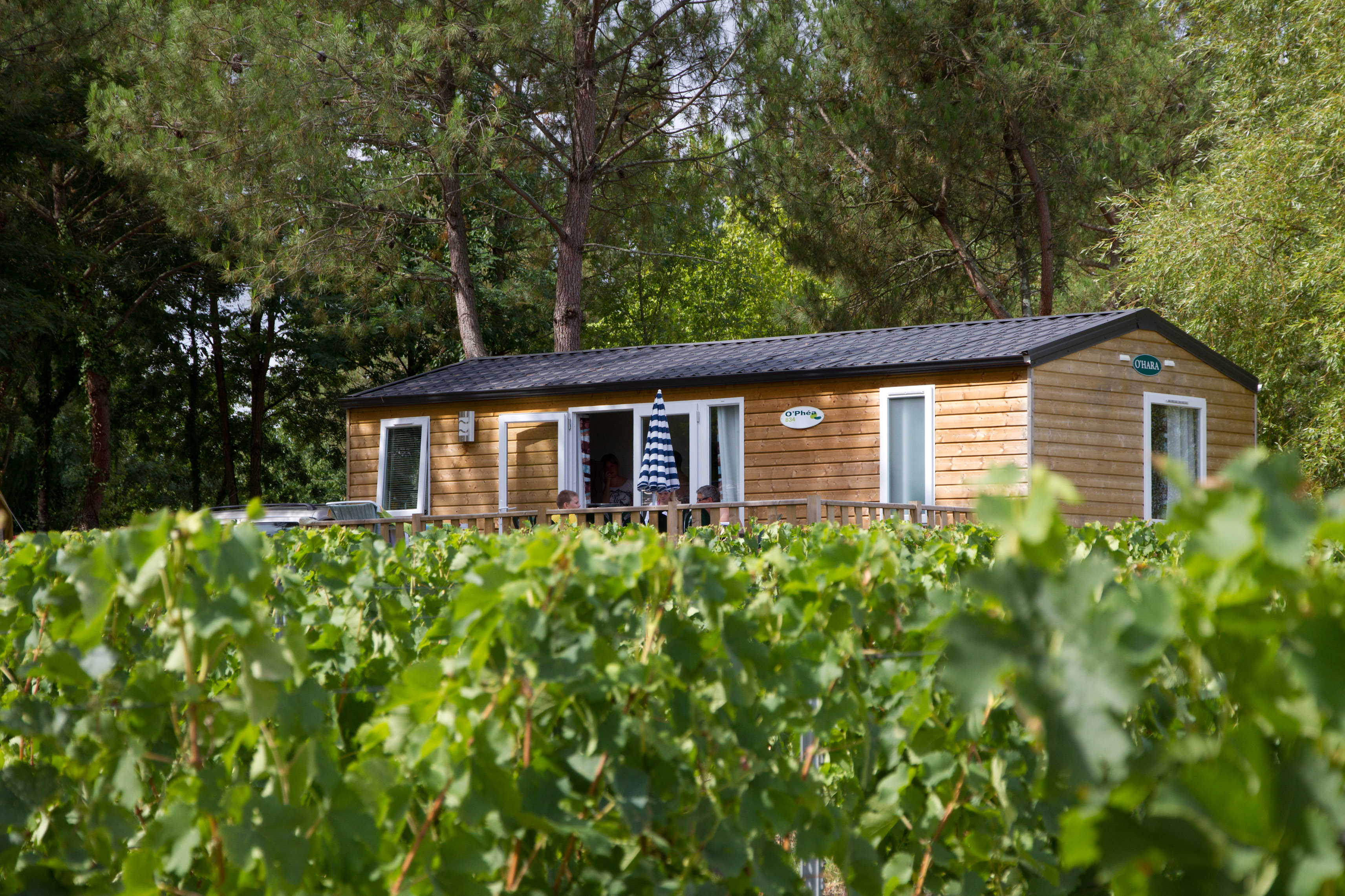 Camping Paradis Le pressoir