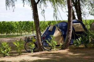 Camping Paradis Le pressoir