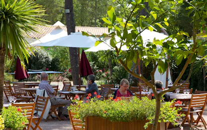 Flower Camping Le Pressoir