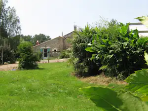 Grüner Garten mit Rasen, Palmen und Hecken vor einem Haus mit Steinmauer und Weg.