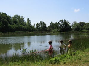 Camping Le Puy Babin