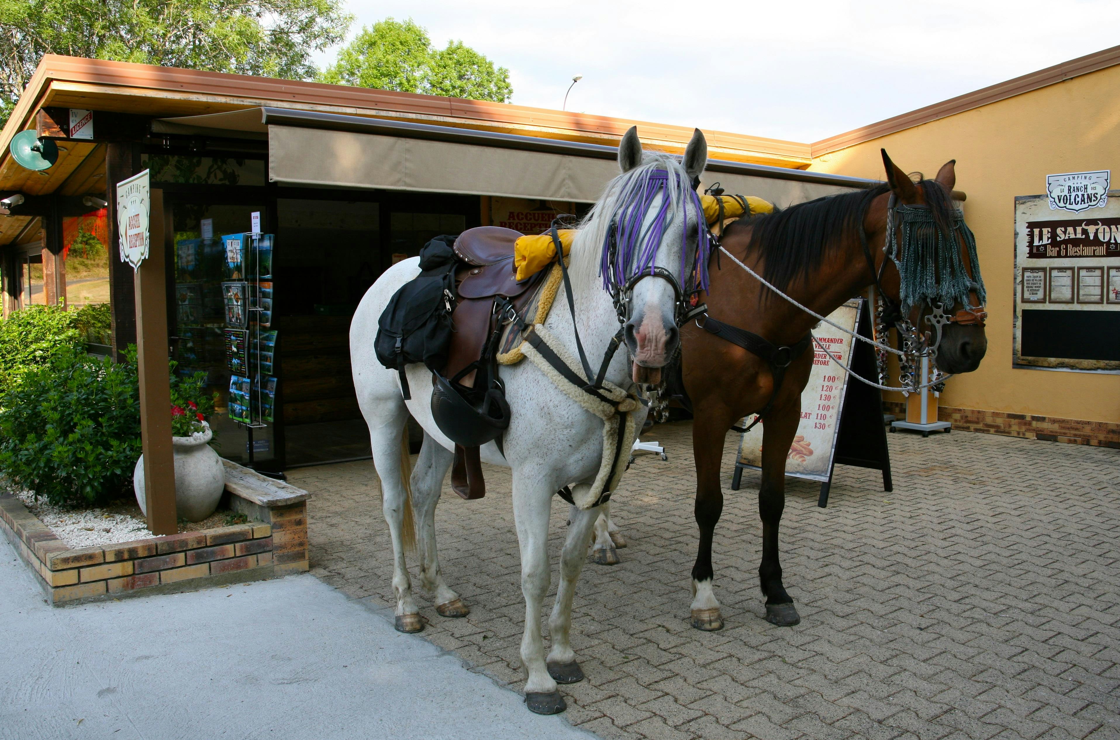 Camping Le Ranch des Volcans