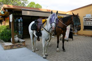 Camping Le Ranch des Volcans