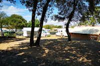 Camping Le Remondeau - Standplätze im Schatten der Bäume