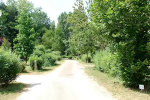 Camping Le Repaire - Spazierweg zwischen den Wohnwagenstellplätzen