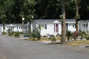Reihe von Mobilheimen auf einem Campingplatz, mit Kiesweg, Rasenfläche und Bäumen im Hintergrund.
