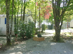 Camping Le Réjallant