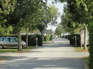 Camping Le Robinson - Standplätze auf dem Campingplatz