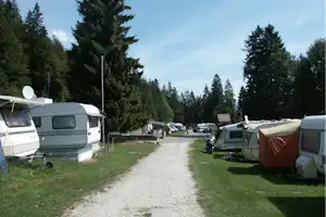 Reihe von Wohnwagen und Campingbussen auf einem Kiesweg, umgeben von hohen Nadelbäumen auf dem Campingplatz.