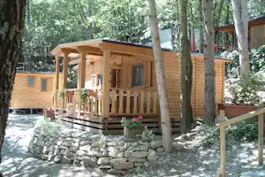 Holzbungalow mit Veranda und Geländer im Wald, davor Blumen in Kübeln und ein Weg am Steinhaufen.