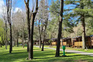 Mobilheime auf dem Campingplatz zwischen hohen Bäumen, mit Holzterrassen und Wegen im grünen Gelände.