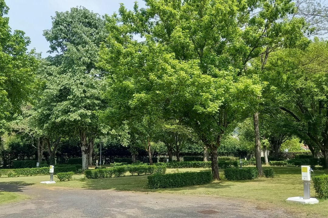 Camping Le Rouergue - durch kniehohe Hecken getrennte Standplätze mit eigenem Stromkasten auf ebenem Gras im Schatten unter Bäumen