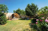 Camping Le Roussillon  -  Mobilheim mit Veranda und Pichnicktisch auf grüner Wiese vom Campingplatz
