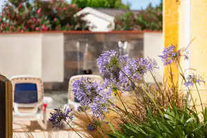 Chadotel Camping Le Roussillon - Blumen auf dem Campingplatz