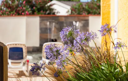 Chadotel Camping Le Roussillon
