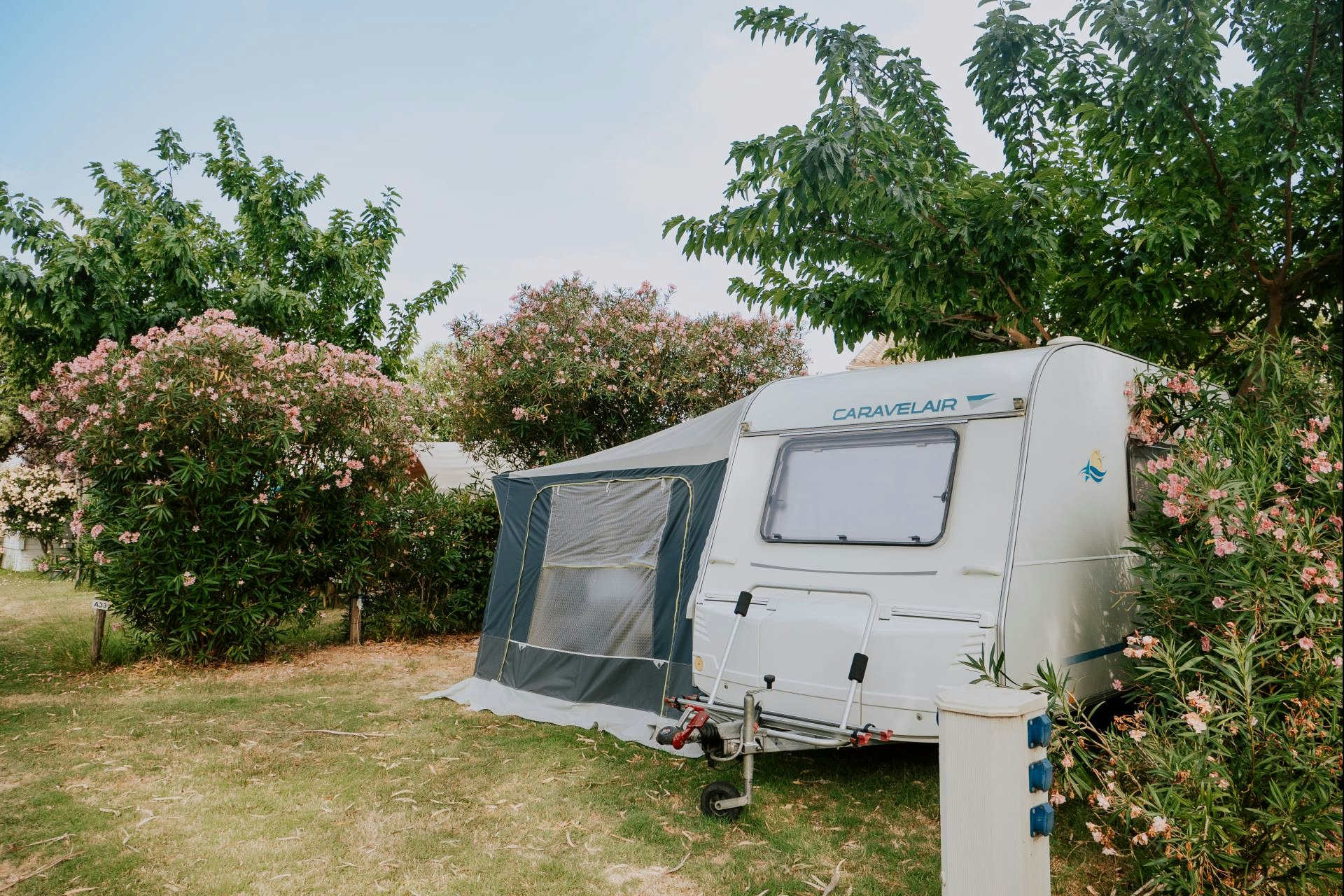 Wohnwagen mit Vorzelt auf einem Campingplatz, umgeben von Bäumen und blühenden Sträuchern im Garten.