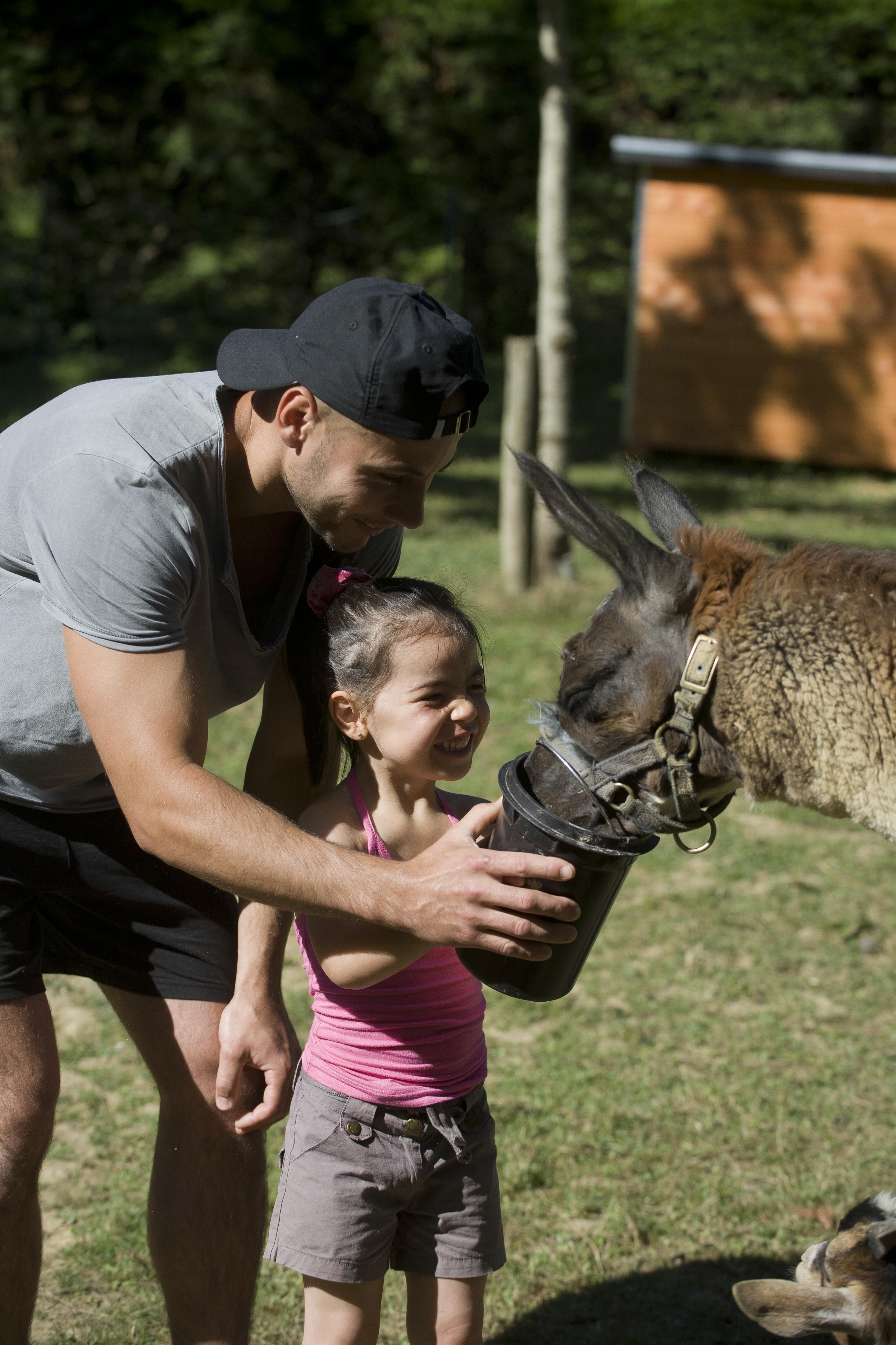 Camping Le Ruisseau des Pyrénées